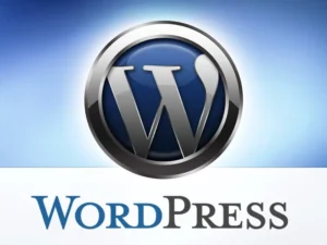 Read more about the article Úvod do WordPress